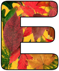 Herbstbuchstabe-5-E.jpg